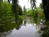 Famous pond.JPG (175054 bytes)